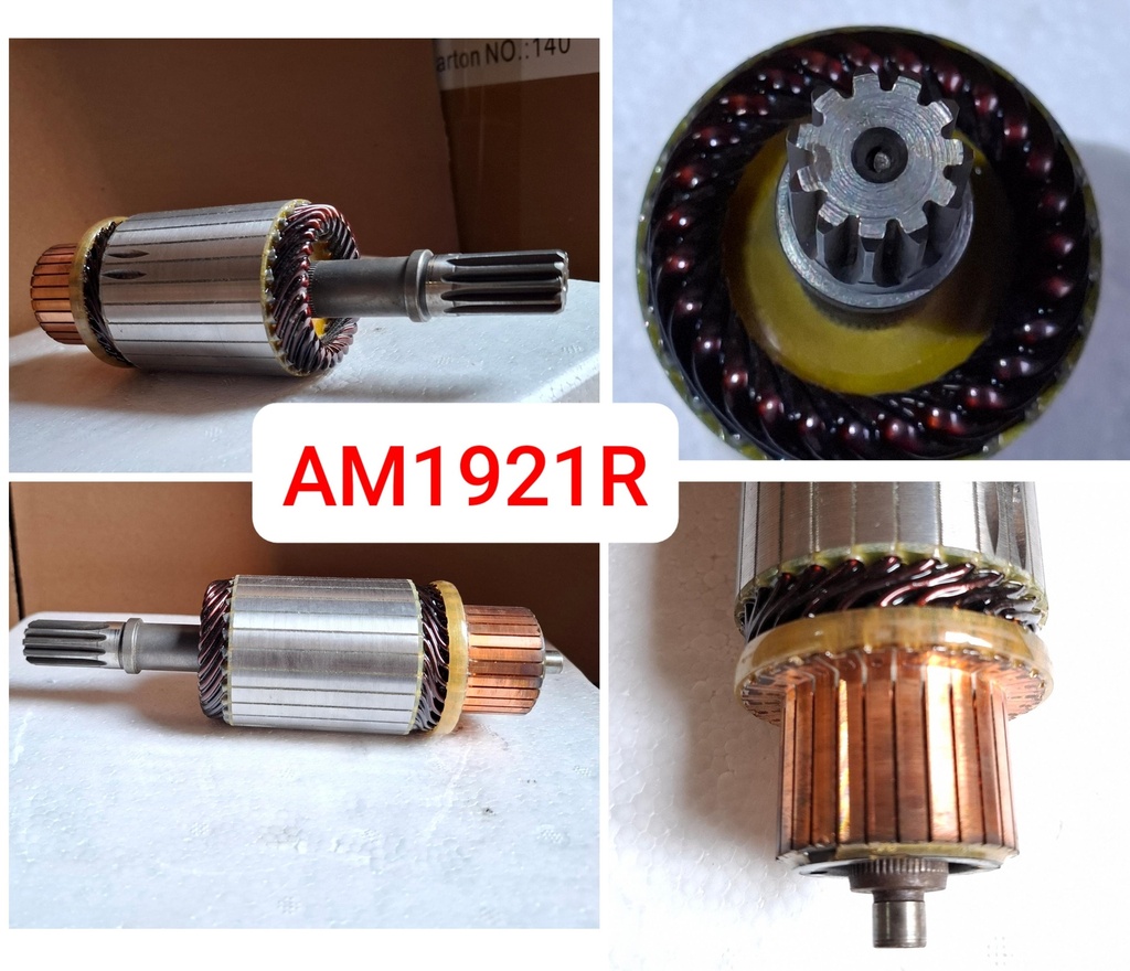 AM1921R   - YANMAR 12V 15T 11SP ARMATURE