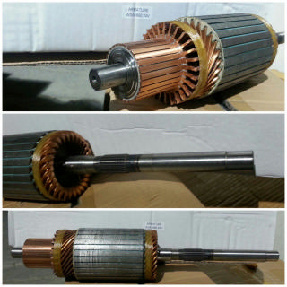 AM2163R   - CT BSH /PST 24V ARMATURE