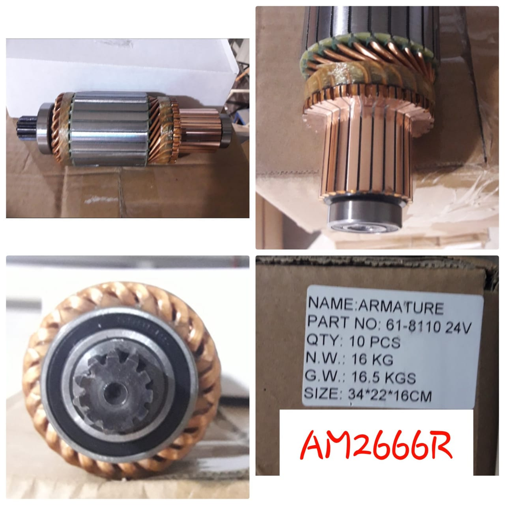 AM2666R   - NSSN FD6 24V 6 CYL 11SP ARM+BEARING