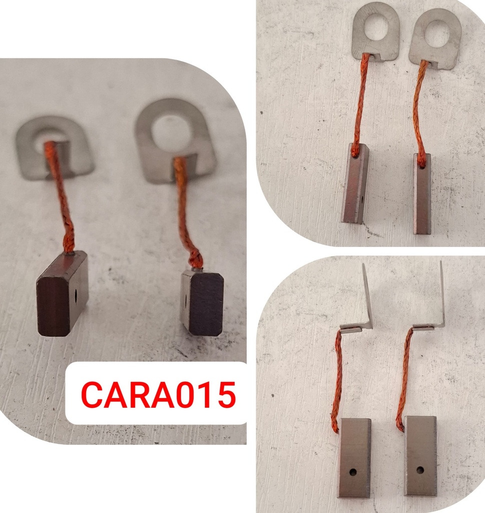 CARA015   - FORD ALT S/W+PATRI HOLE CARBON BRUSHES