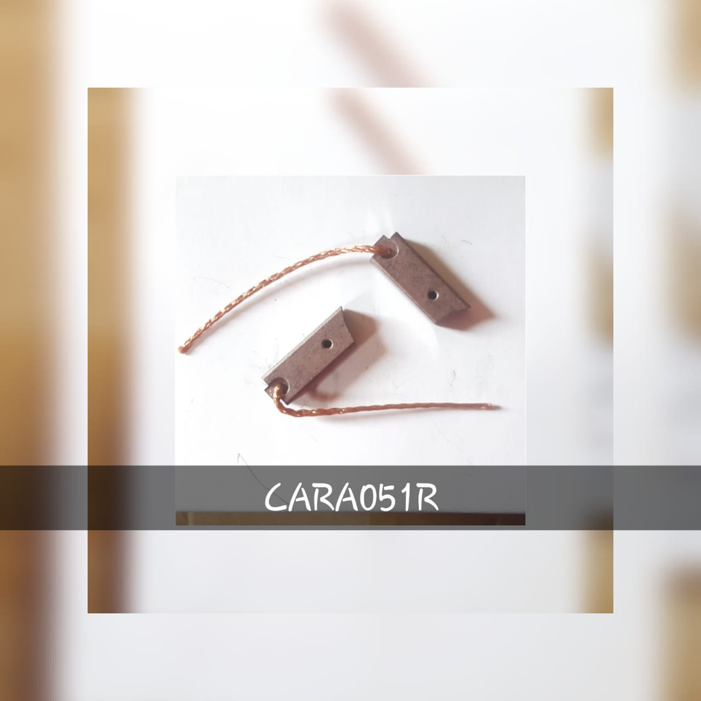 CARA051R-DENSO ALT LONG C/W CARBON BRUSHES