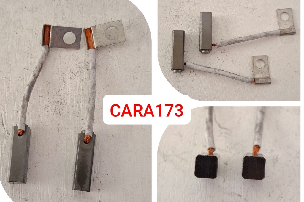 CARA173   - SAWAFUJI ALT C/W+PATRI CARBON BRUSHES