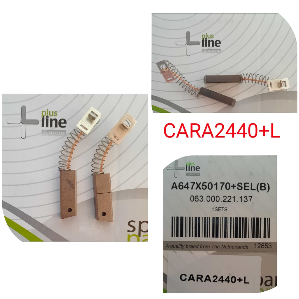 CARA2440+L-MITS N/M CARBON BRUSHES WITH SPRINGS
