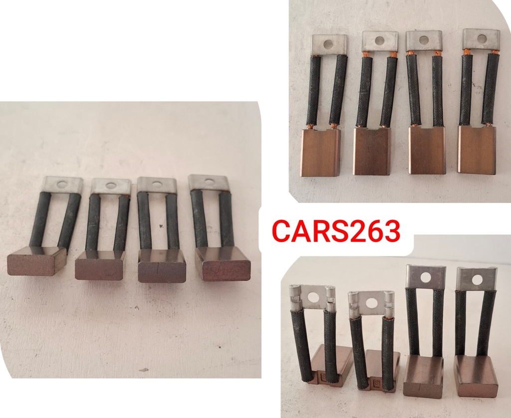 CARS263-NKO STR 2B/W+PATRI CARBON BRUSHES