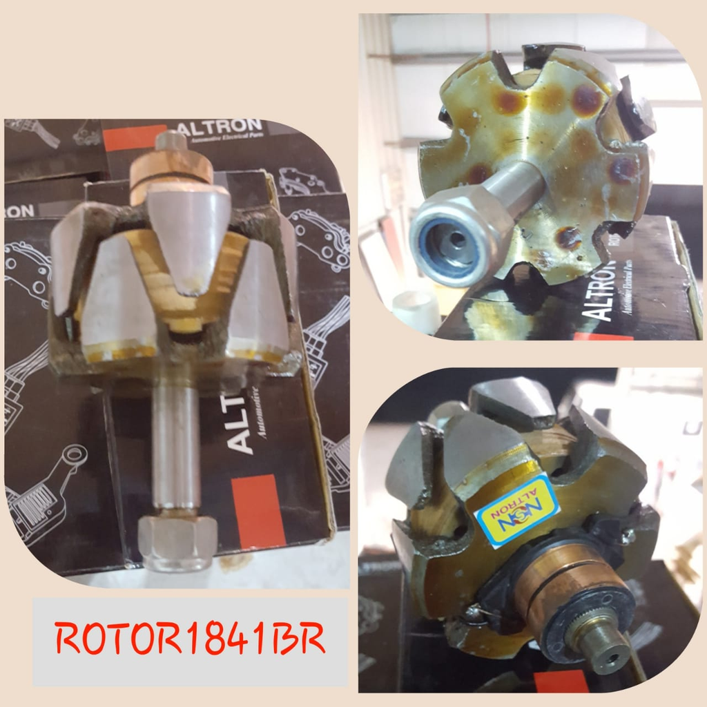 ROTOR1841BR  -TAT/LEY 1615 12V ROTOR COIL