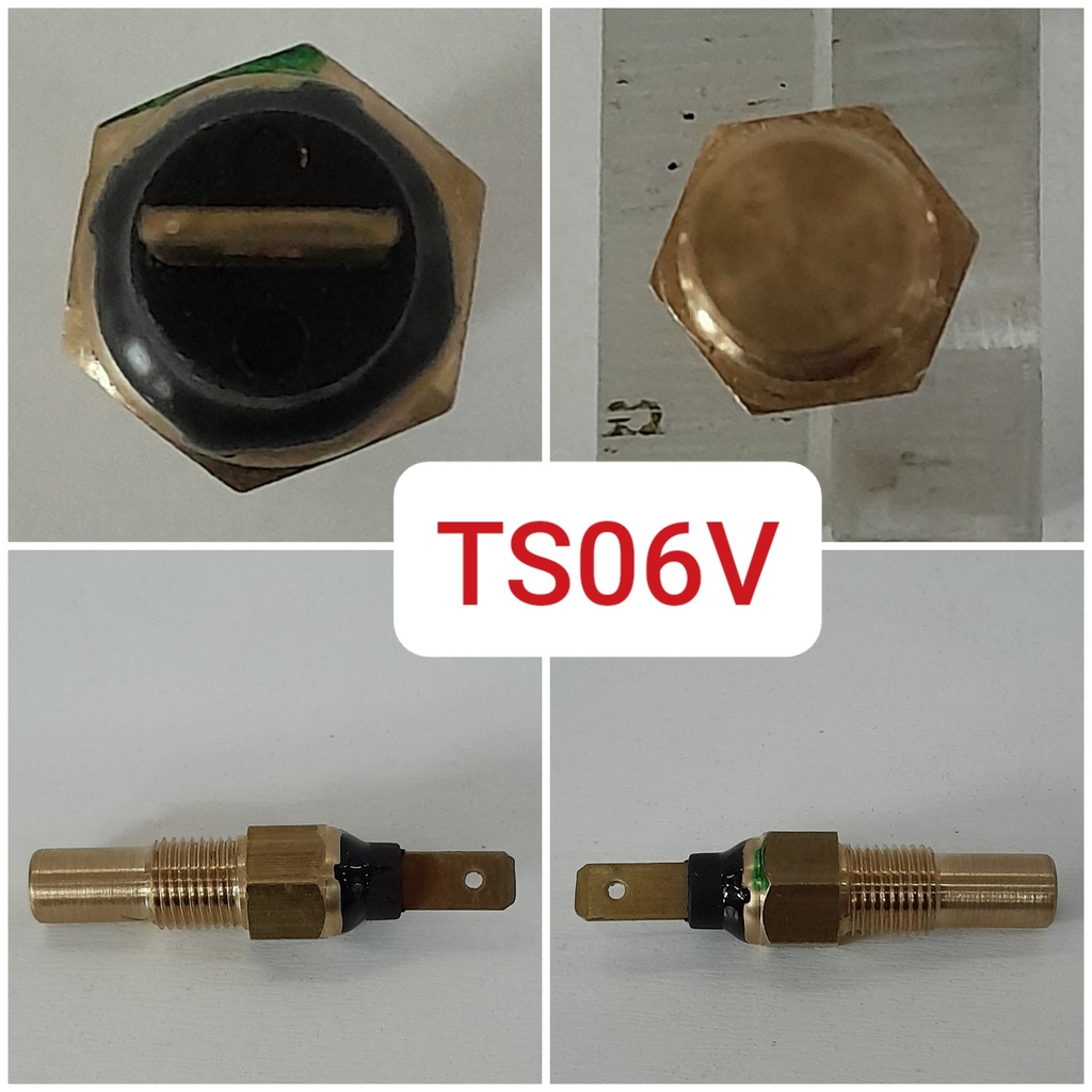 TS06V-M10X1.0 (40-120C) VDOVALUE(100-39OHMS) 1PIN WATER TEMPRATURE SENDER
