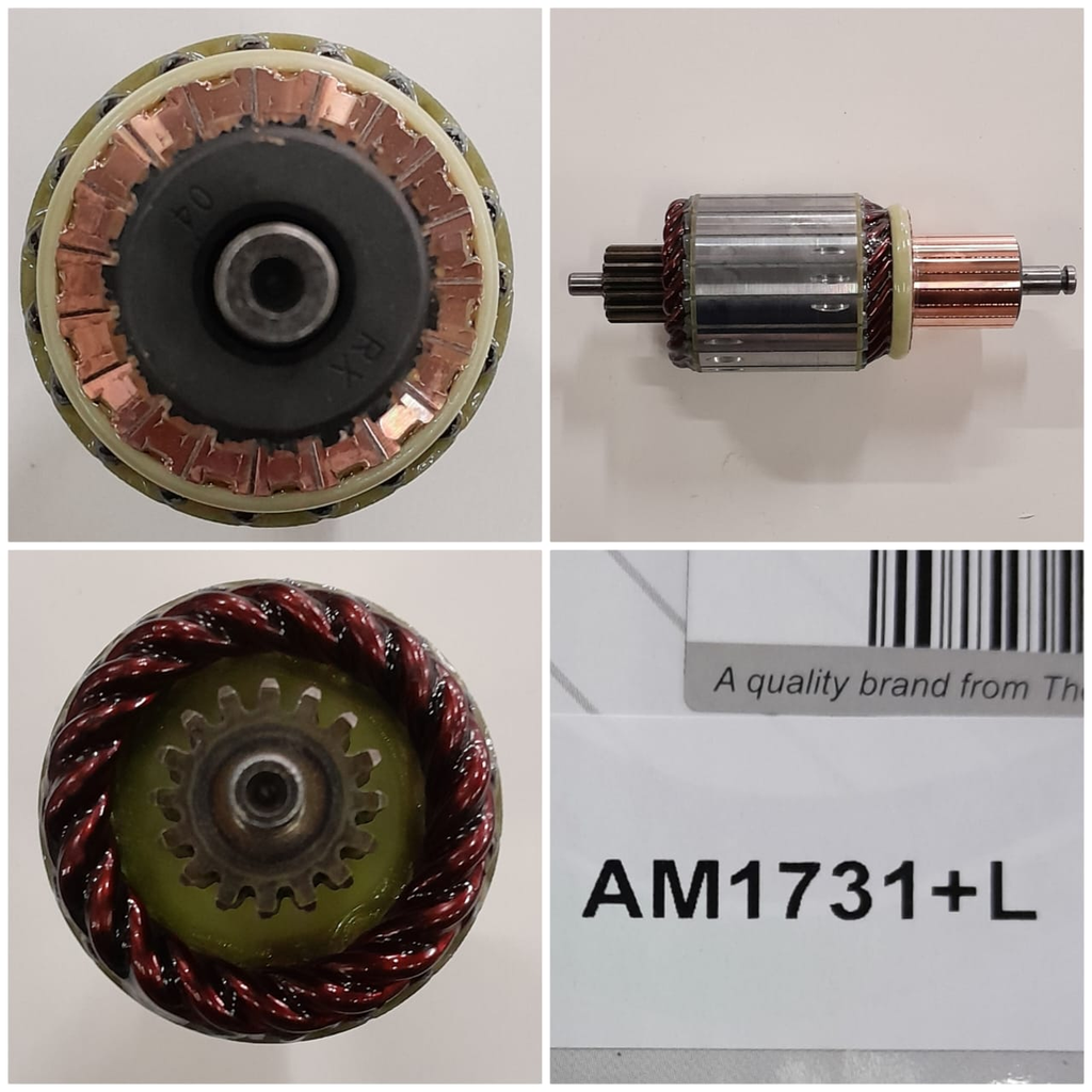AM1731+L-PERKIN N/M 12V 16SP ARMATURE