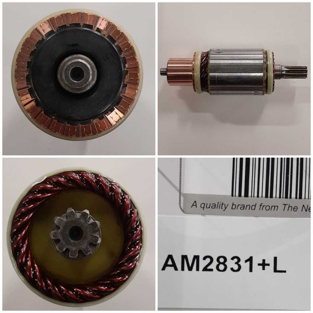 AM2831+L-ND DYNA 24V 9SP ARMATURE