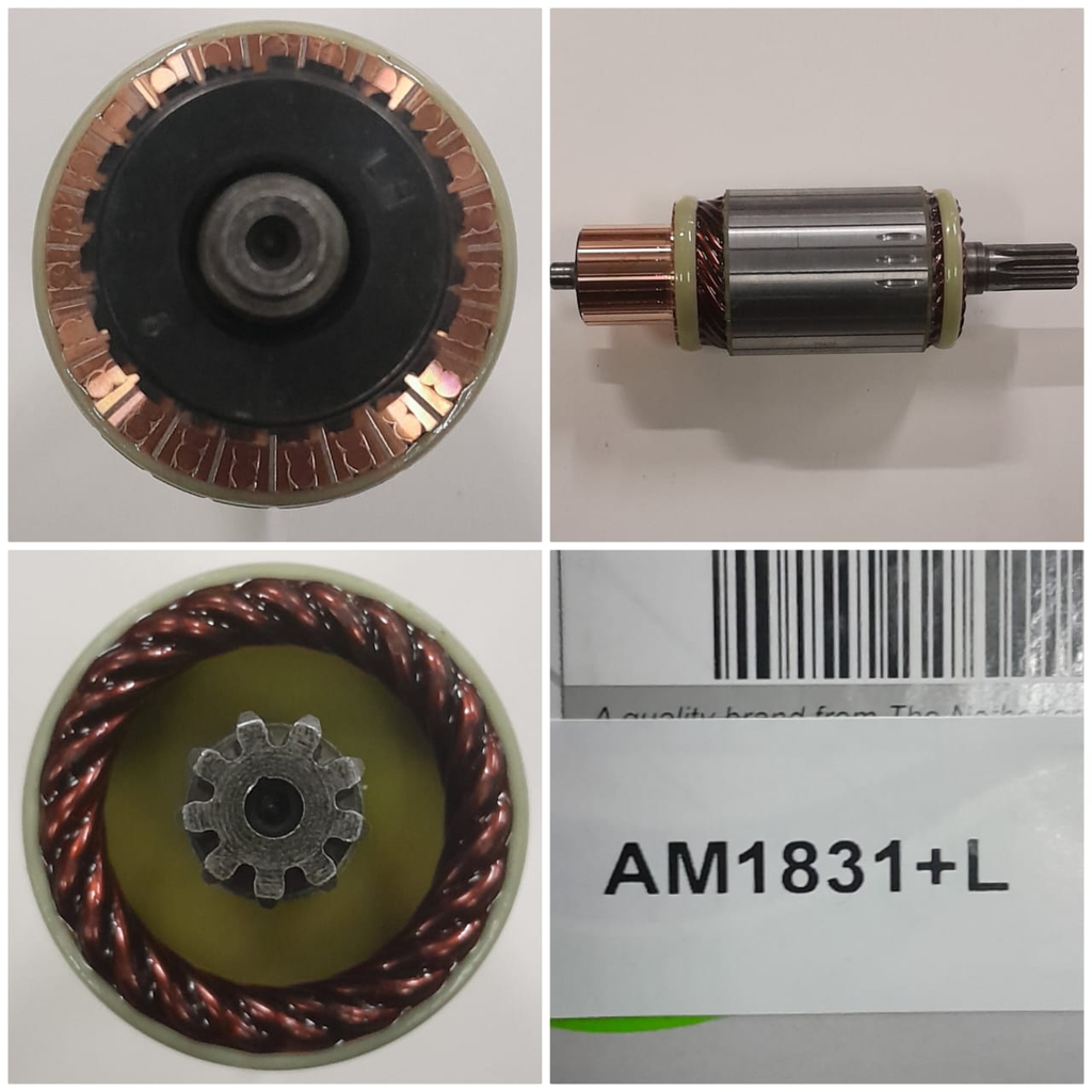 AM1831+L-ND 12V 9SP ARMATURE 