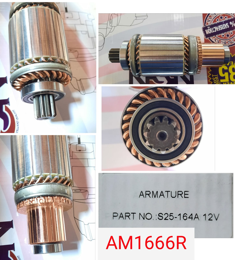 [AM1666R] AM1666R   - NSSN 12V 6 CYL ARMATURE+BEARING