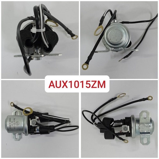 [AUX1015ZM] AUX1015ZM-12V GOLDEN 3 POINT SS124+WIRE  TYPE SWITCH