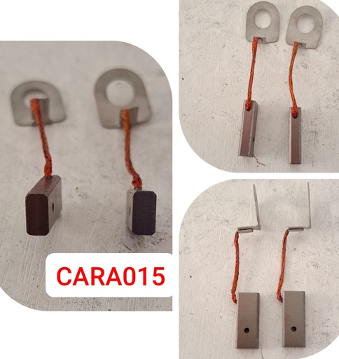 [CARA015] CARA015   - FORD ALT S/W+PATRI HOLE CARBON BRUSHES