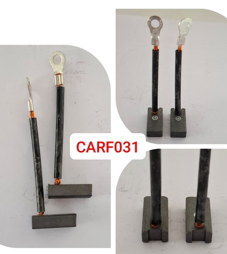 [CARF031] CARF031   - FAN C/W+PATRI HOLE CARBON BRUSHES