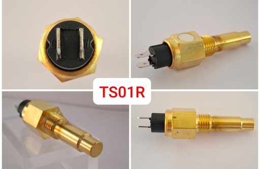 [TS01R] TS01R   - TEMPERATURE 2 PIN PARALLEL SMALL