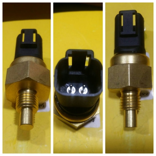 [TSJ01PB] TSJ01PB   - M12 TEMP SWITCH COLD START SENSOR 2P