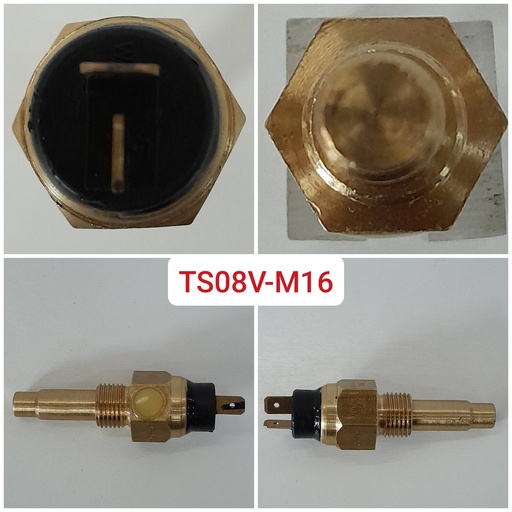 [TS08V-M16] TS08V-M16-  M16 X 1.5(50-150C) ,(2PIN) SWITCHING AT 140+-3C,T TYPE TEMP SENSOR