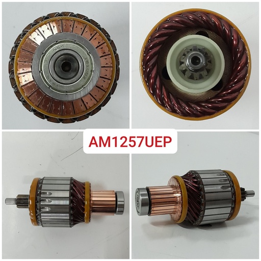 [AM1257UEP] AM1257UEP-DTZ ISK 12V 10SP N/M OEM ARMATURE+BEARING